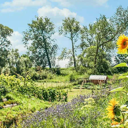 Fantastisk Hjem I Sulomino Med Køkken * Dargobądz
