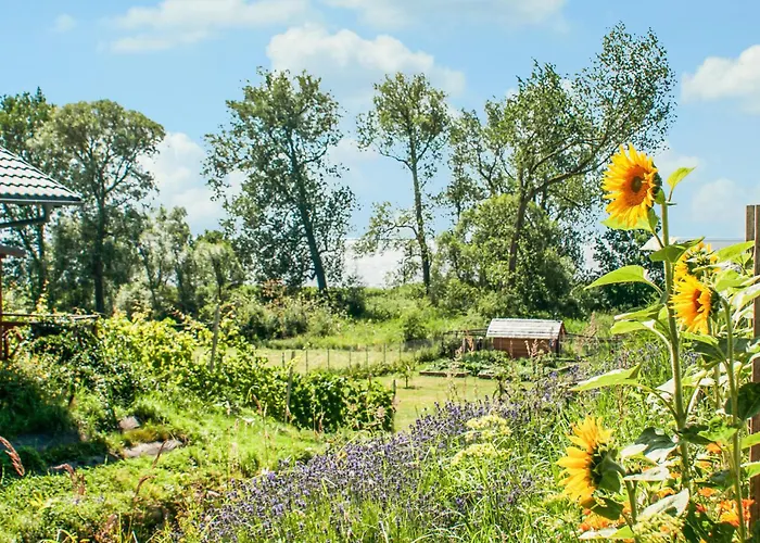 Awesome In Sulomino With Kitchen * Dargobądz